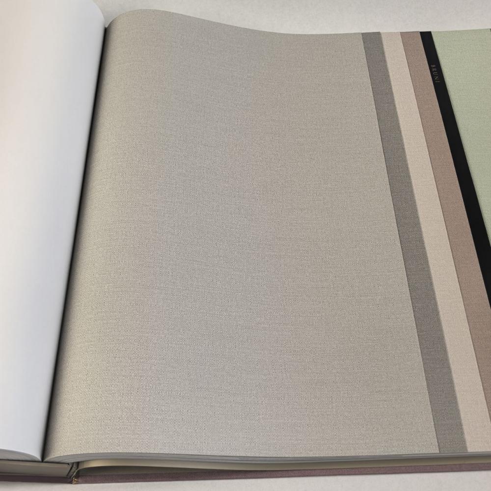 Alessandro Allori Bruni RBN 1003-11