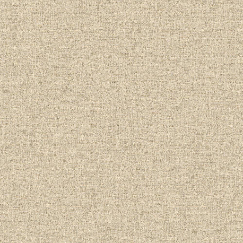 Alessandro Allori Giorgio RGI 1008-6