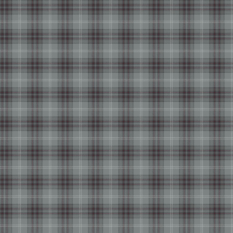 Loymina Денди KN 2008