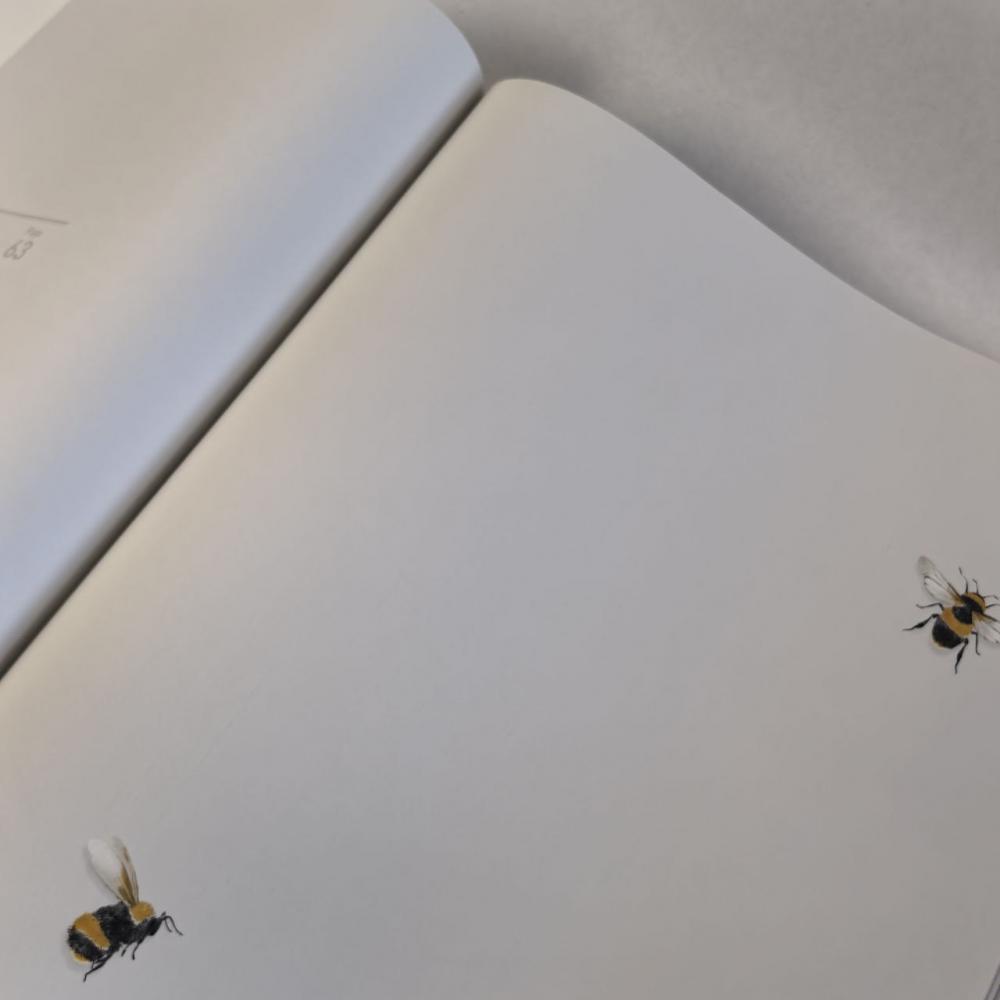 Andrea Rossi Cavolli 54419-2