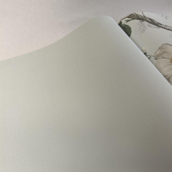 Andrea Rossi Cavolli 54420-8