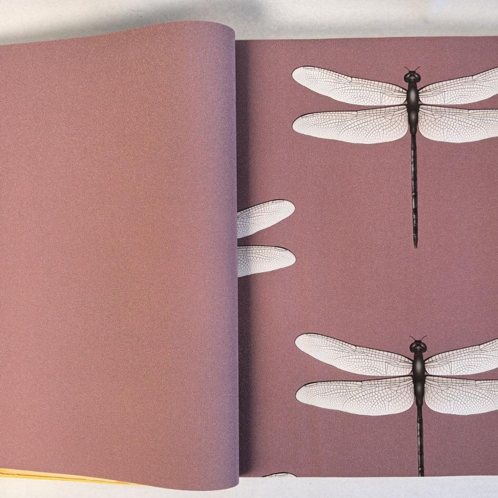 Andrea Rossi Cavolli 54424-9