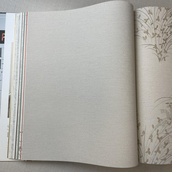 Andrea Rossi Palmaria 54467-7