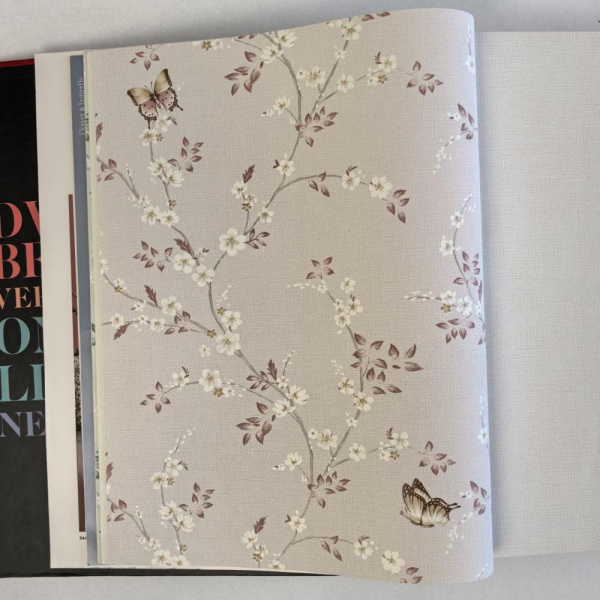 Andrea Rossi Spectrum Box 54460-4