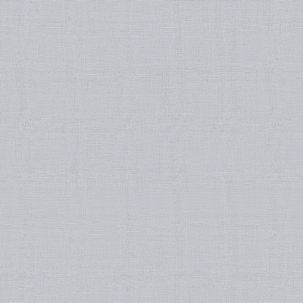 Erismann Casual Chic  ER 12143-31