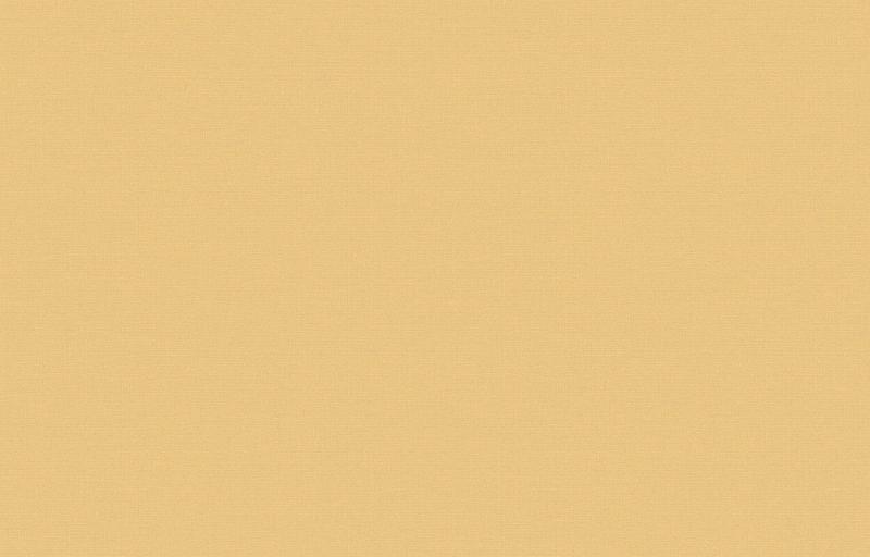 Loymina Equator QTR8 002_2