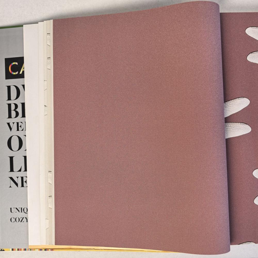 Andrea Rossi Cavolli 54424-9