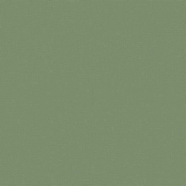 Erismann Casual Chic  ER 12143-07
