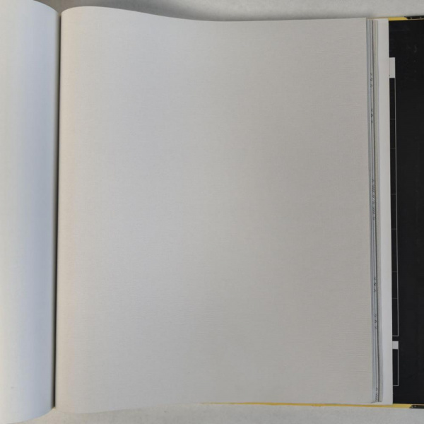 Andrea Rossi Cavolli 54416-3